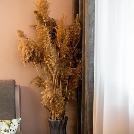 아파트 какао