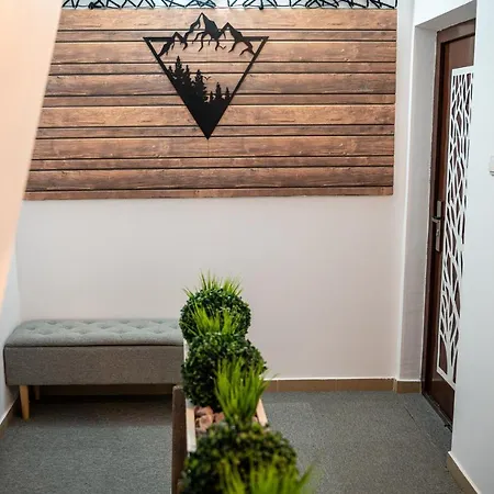 какао Welingrad