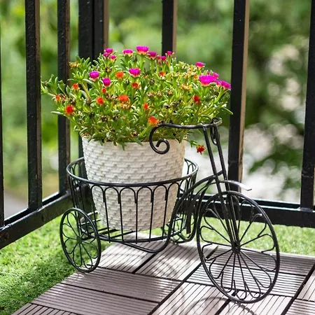 какао * 벨린그래드