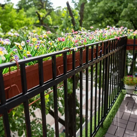 Appartement какао *