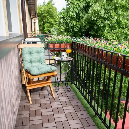 какао 벨린그래드