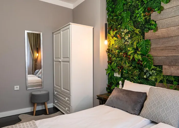 какао Daire Velingrad